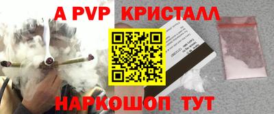 шишки Заводоуковск