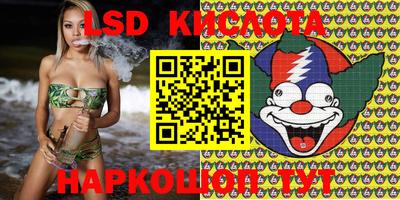 шишки Заводоуковск