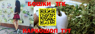 шишки Заводоуковск