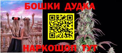 шишки Заводоуковск